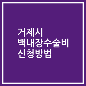 거제시 백내장수술비 신청방법