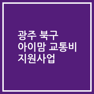 광주 북구 아이맘 교통비 지원사업