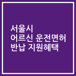 서울시 어르신 운전면허 반납 지원혜택