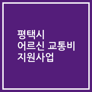 평택시 어르신 교통비 지원사업