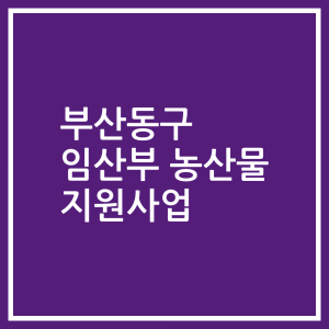 부산동구 임산부 농산물 지원사업