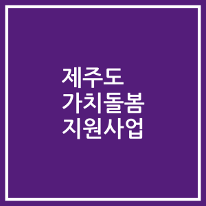 제주도 가치돌봄 지원사업