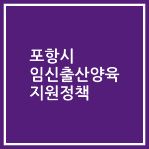 포항시 임신출산양육 지원정책