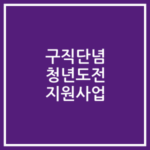 구직단념 청년도전 지원사업