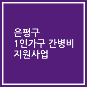 은평구 1인가구 간병비 지원사업