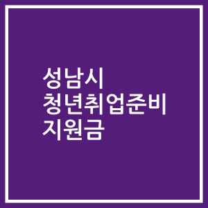 성남시 청년취업준비 지원금