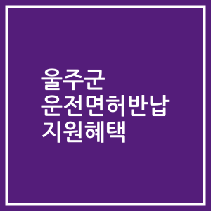 울주군 운전면허반납 지원혜택