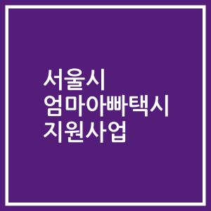 서울시 엄마아빠택시 지원사업