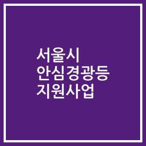 서울시 안심경광등 지원사업