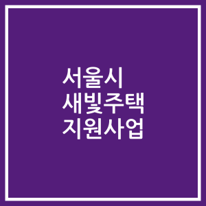 서울시 새빛주택 지원사업