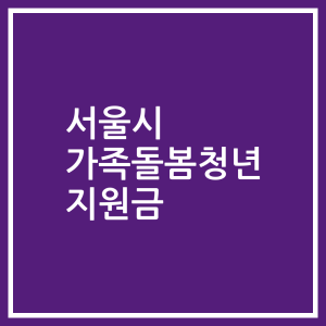 서울시 가족돌봄청년 지원금