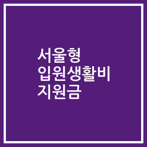 서울형 입원생활비 지원금